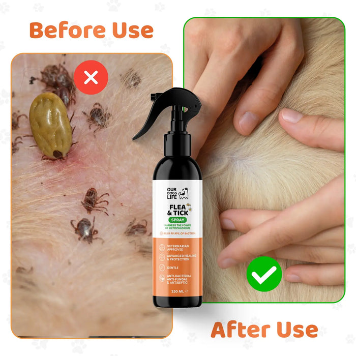 DogsLife Flea & Tick Dog Treatment Spray