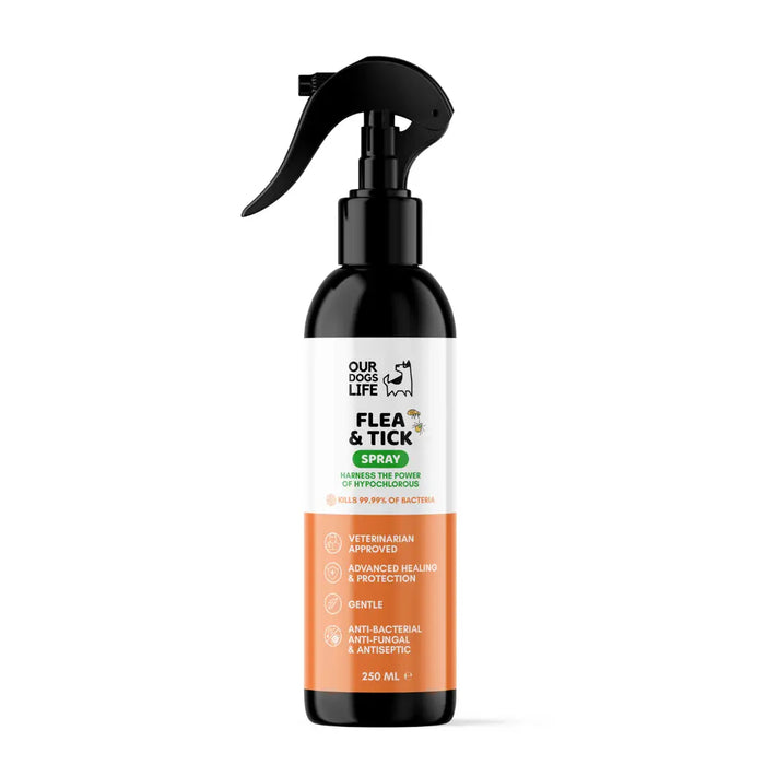 DogsLife Flea & Tick Dog Treatment Spray