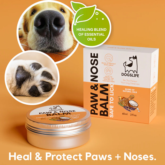 DogsLife Protective Paw and Nose Balm