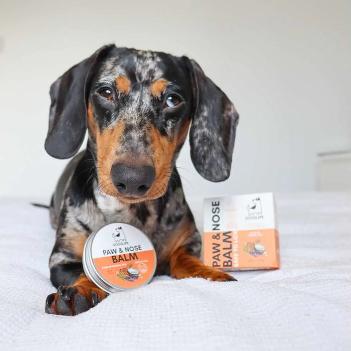 DogsLife Protective Paw and Nose Balm