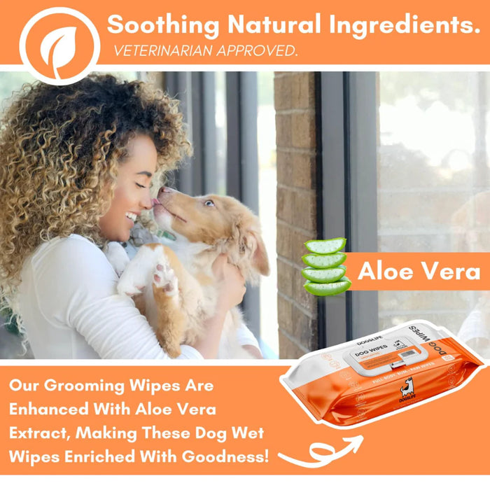 Woman and dog with grooming wipes and aloe vera text overlay