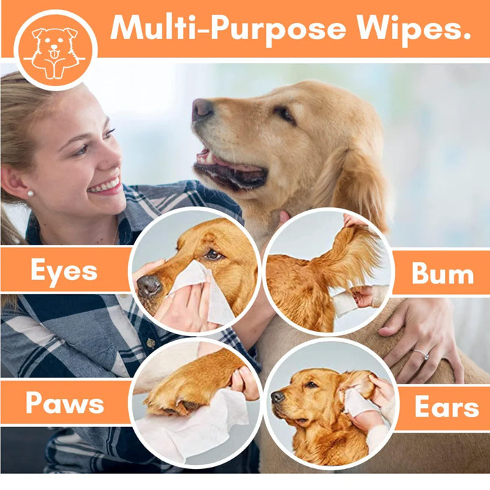 Woman with a dog using multi-purpose wipes for eyes, bum, paws, and ears.
