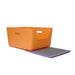 Orange litter tray and purple mat on a white background