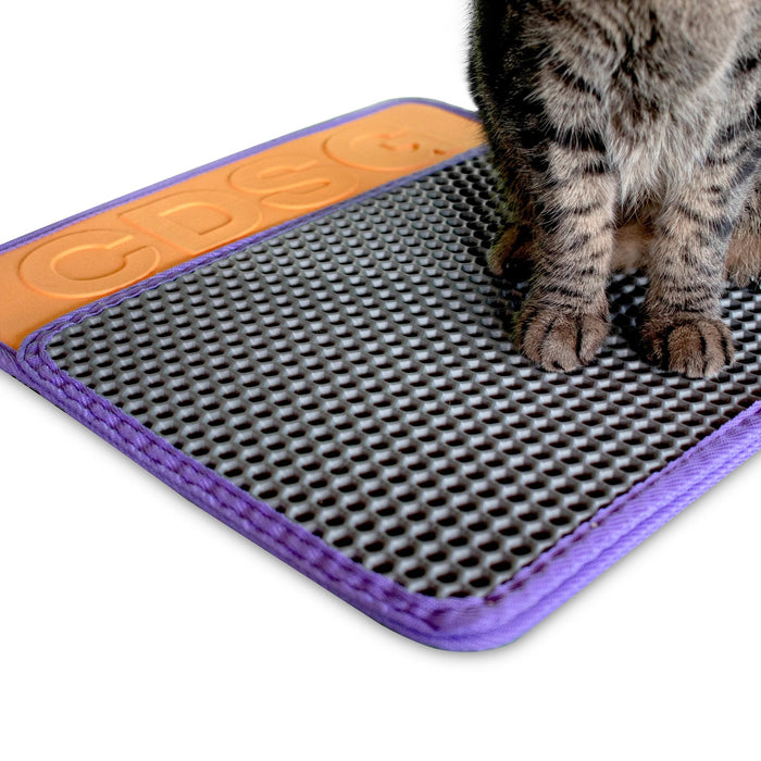 Cat standing on a textured mat with orange border and purple edge