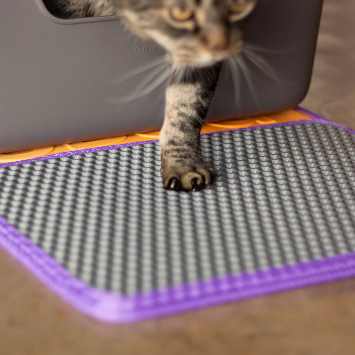 Cat stepping onto a mat with a cat litter box in the background