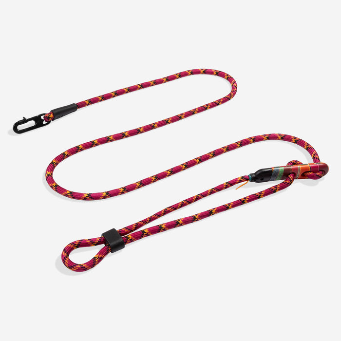 Zee.Dog x FARM RIO Hands-Free Dog Lead - Selva