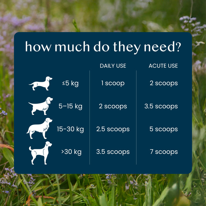 Fettle Pure & Gentle Calming Support Powder for Dogs