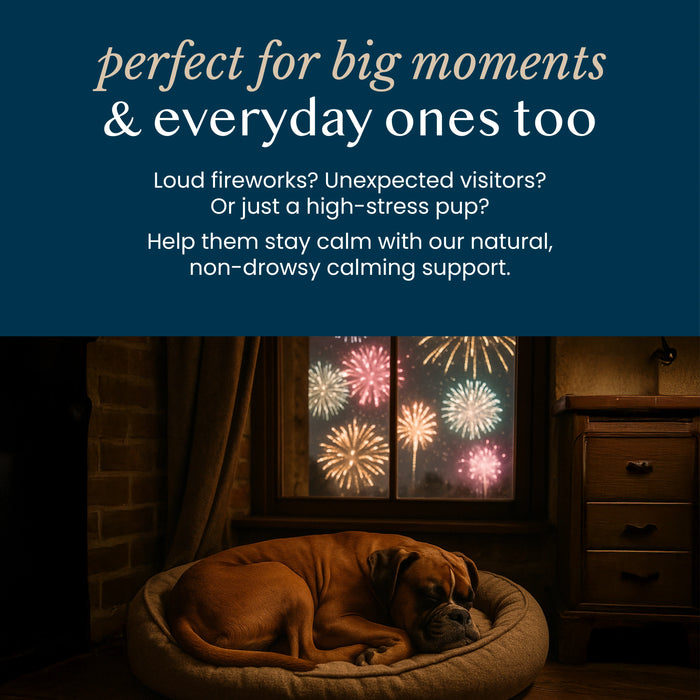 Fettle Pure & Gentle Calming Support Powder for Dogs