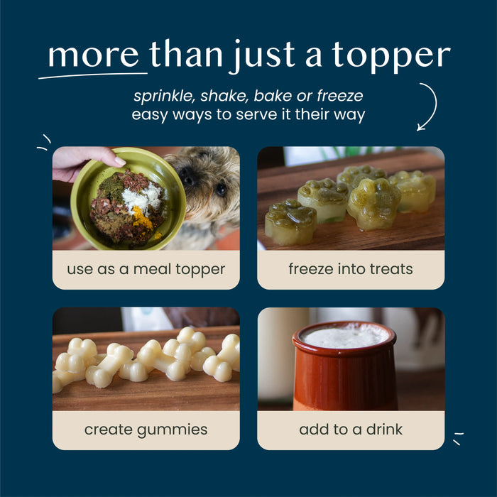 Fettle Pure & Gentle Calming Support Powder for Dogs