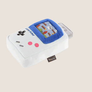 Your Pup's P.L.A.Y Time Just Got Retro