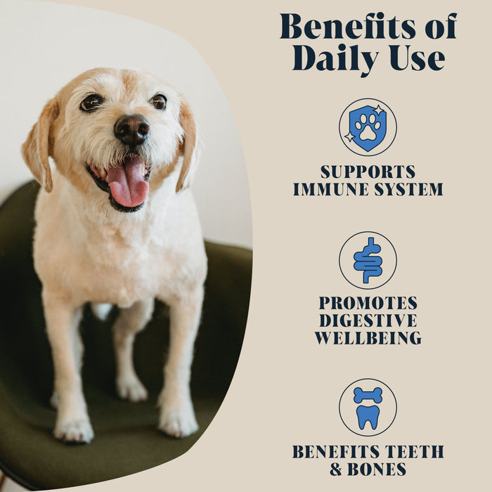 Hackney Dog House Goats Milk Powder Topper for Dogs & Cats