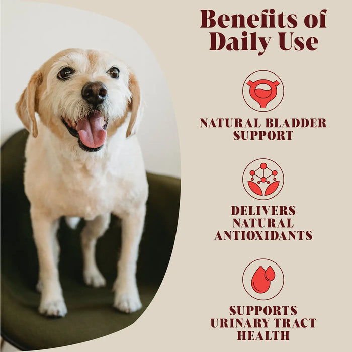 Dog standing on a mat with text about the benefits of daily use for natural bladder support, antioxidants, and urinary tract health.