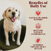 Dog standing on a mat with text about the benefits of daily use for natural bladder support, antioxidants, and urinary tract health.