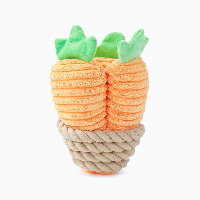 Hugsmart Carrot Bunch Dog Rope Toy
