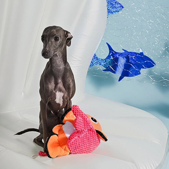 Hugsmart Finding Nemo Clown Fish Dog Toy