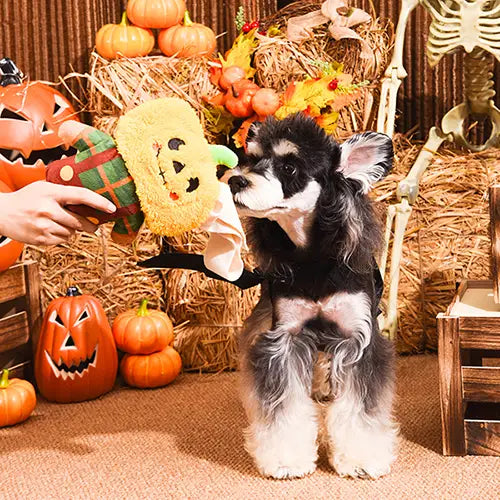 Halloween Scarecrow Plush Treat Dispenser Toy for Dogs