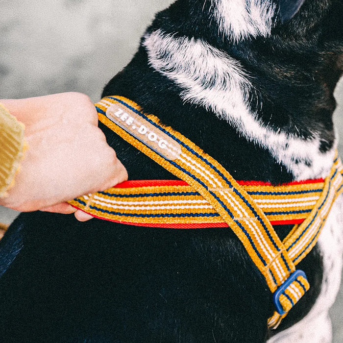 A close-up of a dog harness being adjusted on a black and white dog by a person's hand. The harness features a woven pattern of yellow, orange, red, and navy blue stripes with a white brand label that reads 'HIT DOG'.