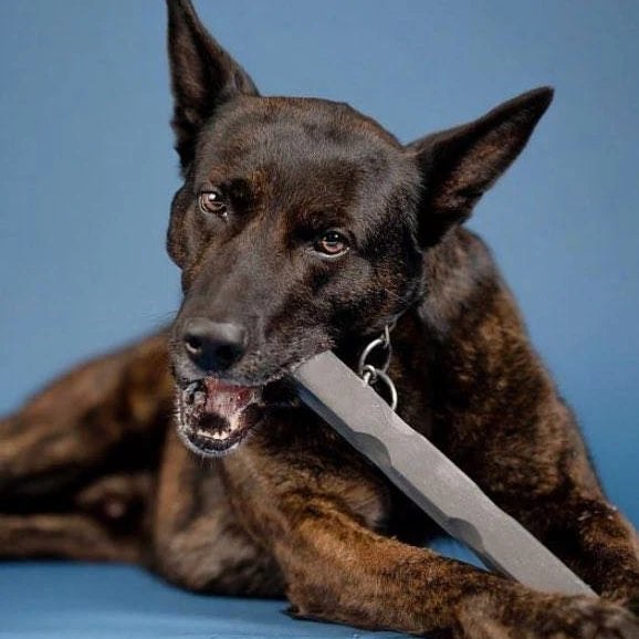 Bulletproof Pet Products Indestructibone Tough Dog Chew Toy - 6 Sizes