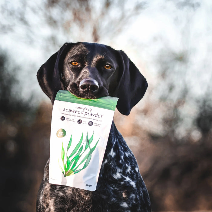 100% Natural Kelp Seaweed Powder for Dogs & Cats - 250g