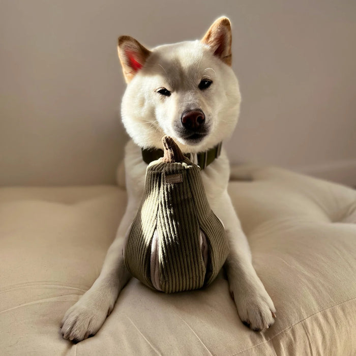 Lambwolf Collective Butternut Squash Snuffle & Burrow Dog Toy