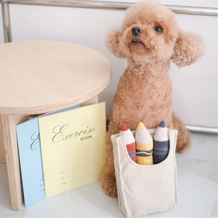 Lambwolf Collective Crayons Snuffle & Burrow Dog Toy