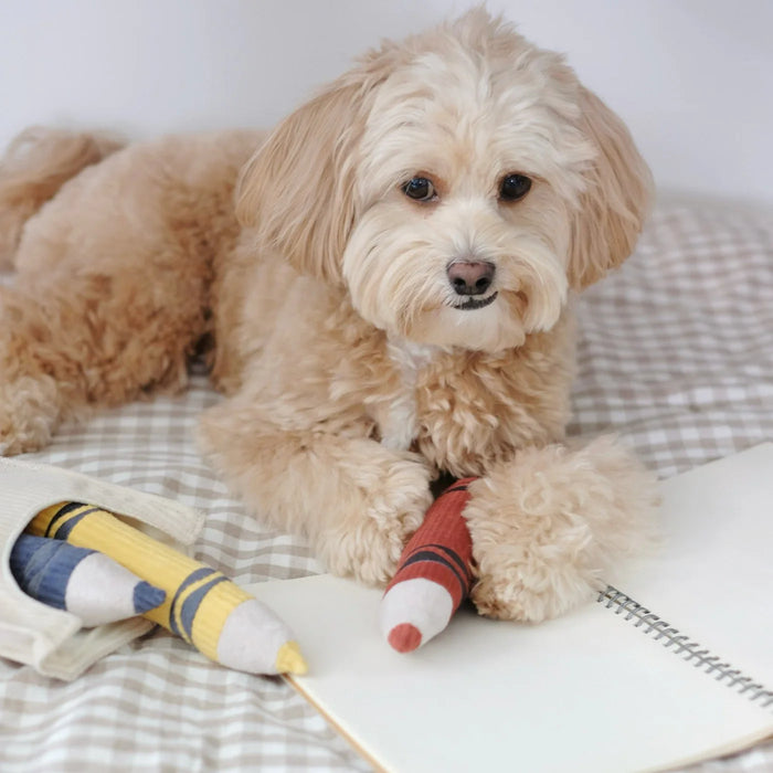 Lambwolf Collective Crayons Snuffle & Burrow Dog Toy