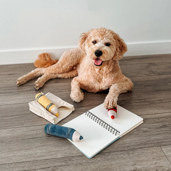 Lambwolf Collective Crayons Snuffle & Burrow Dog Toy