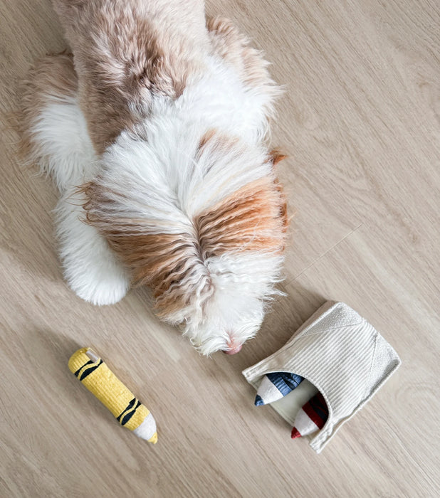 Lambwolf Collective Crayons Snuffle & Burrow Dog Toy