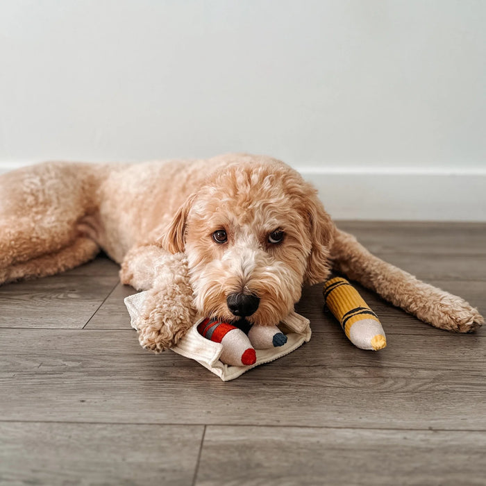Lambwolf Collective Crayons Snuffle & Burrow Dog Toy