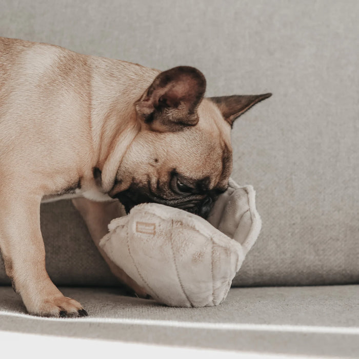 Lambwolf Collective Oyster Pop Snuffle & Burrow Dog Toy