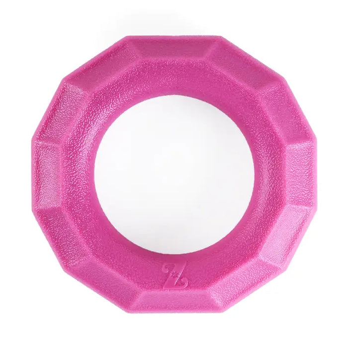ZippyPaws Large Ring ZippyTuff+ Tough Dog Toy