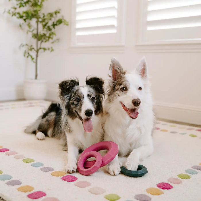 ZippyPaws Large Ring ZippyTuff+ Tough Dog Toy