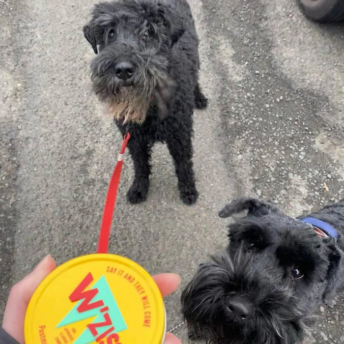 Treat Tin: Postman & Roast