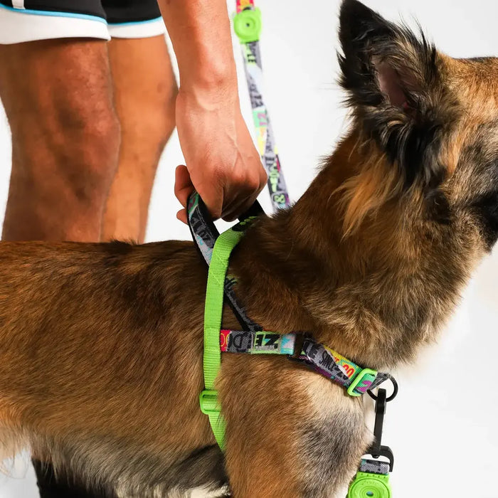Zee.Dog Lords of SofterWalk Harness - Manifesto