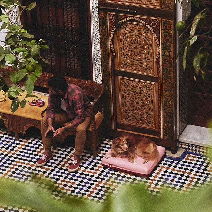 Zee.Dog Najima Zee.Bed Dog Bed