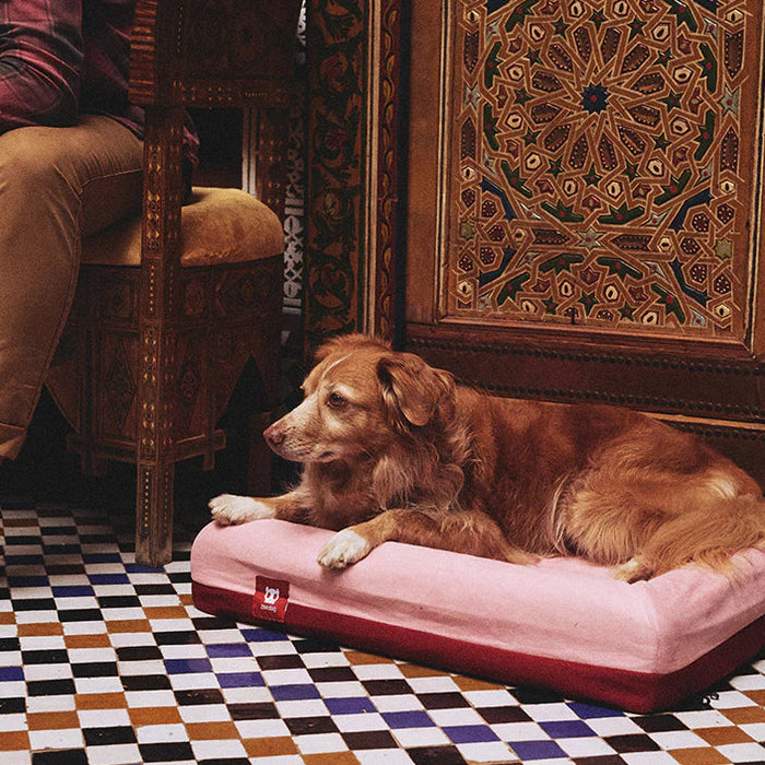 Dog lying on a pink pet bed in a room with checkered floor and ornate furniture.