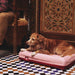 Dog lying on a pink pet bed in a room with checkered floor and ornate furniture.