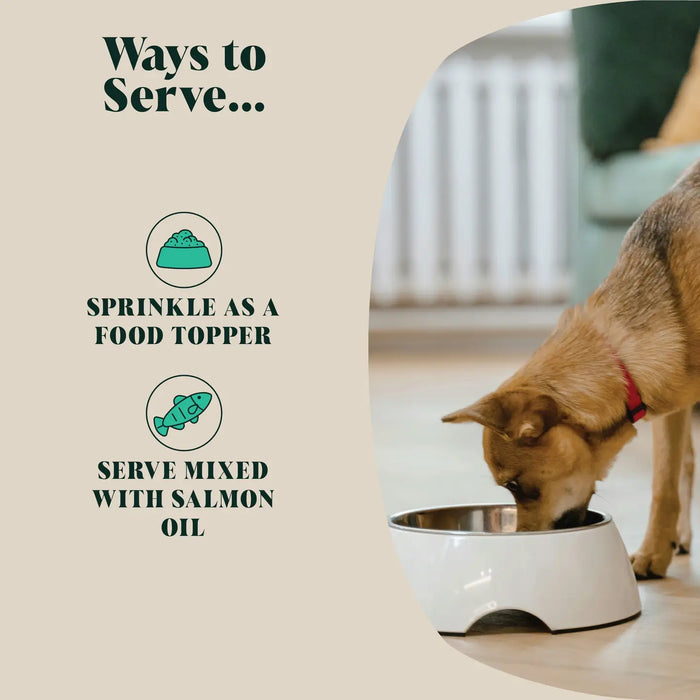 Green Lipped Mussel Powder For Dogs