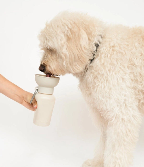 Travel Water Bowl Flip Top Water Bottle for Dogs