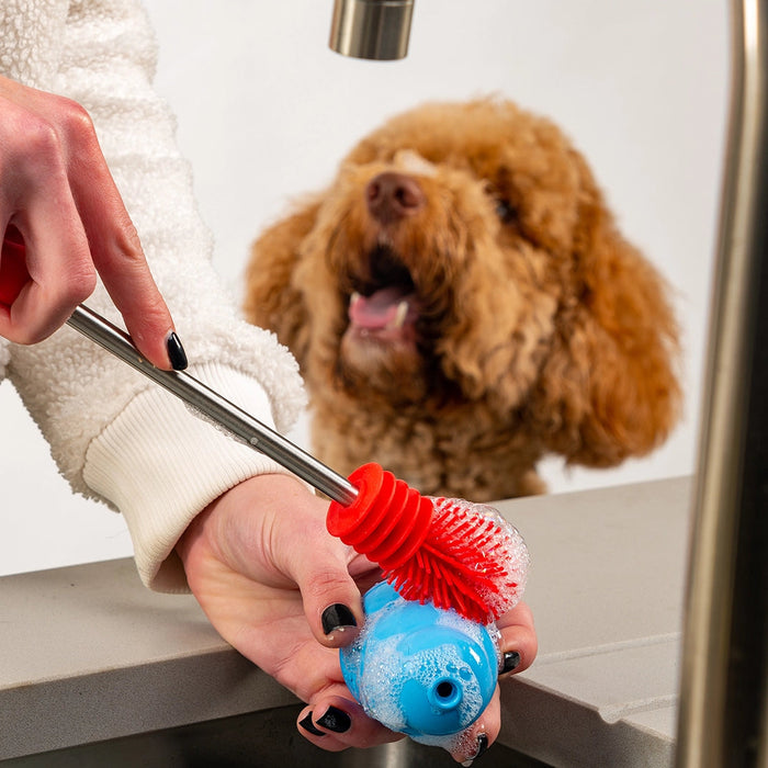 Person cleaning a dog toy with a brush, with a dog watching from behind.