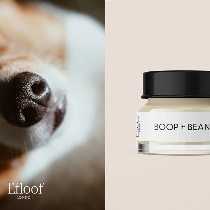 BOOP Almond and Shea Butter Natural Nose & Paw Balm for Dogs - 50ml