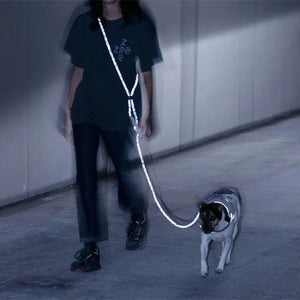 2026 Incoming: The Season of Reflection