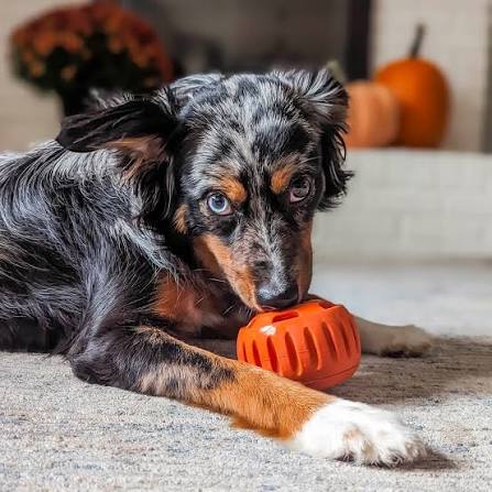 Woof Orange Pupsicle Toy