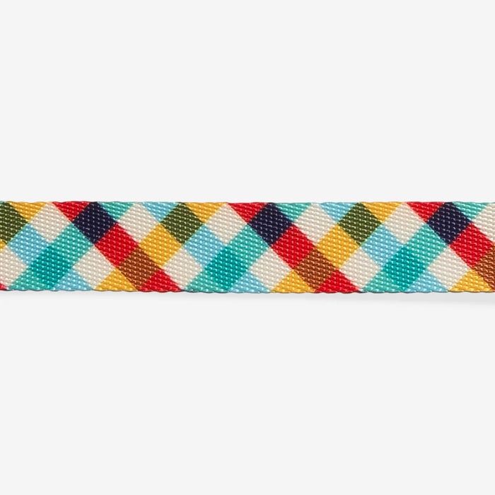 Multicolored checkered collar on a white background
