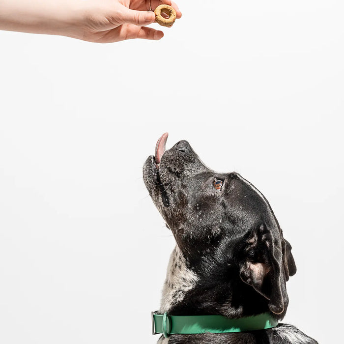 Organic Pumpkin Spice Vegan Baked Dog Treats