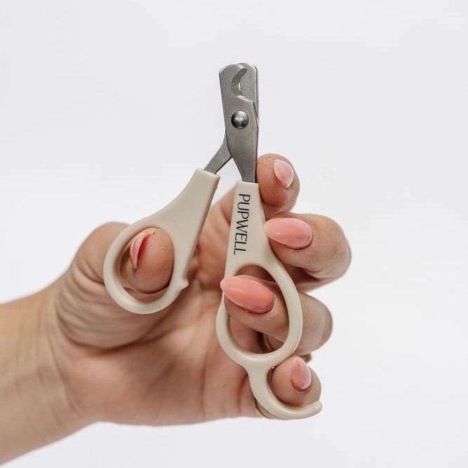 Hand holding a pair of pet nail clippers with a white background