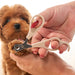 A close-up of a person's hands holding a small brown dog while using beige pet nail clippers on the dog's front paw, against a clean white background.