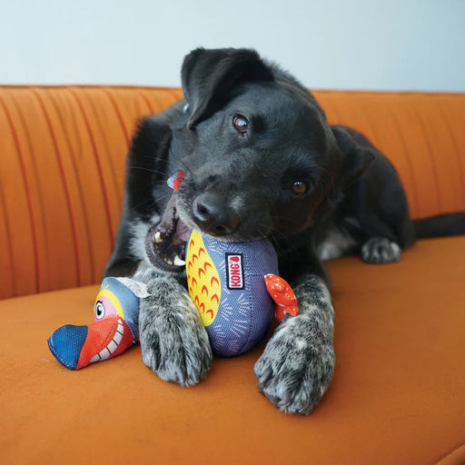 Black puppy playing with a colorful toy on an orange couch