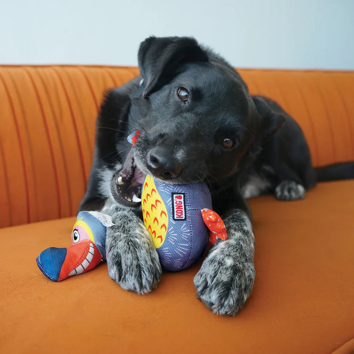 Black puppy playing with a colorful toy on an orange couch