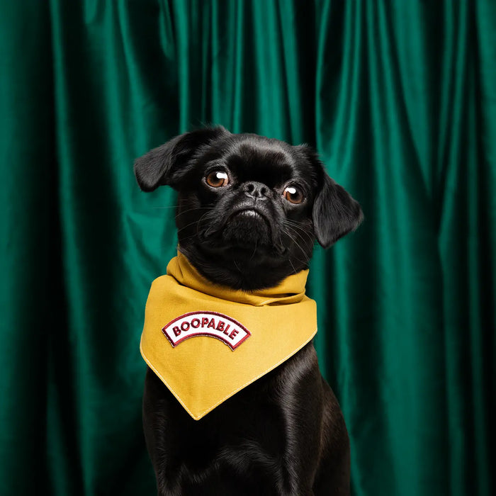 Scout's Honour, Boopable, Iron-On Patch for Pets